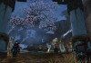 World of Warcraft