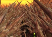 World of Warcraft