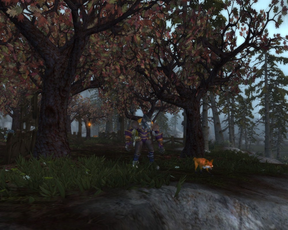World of Warcraft