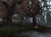 World of Warcraft