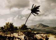 Battlefield 4 screenshot