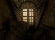 Thief screenshot