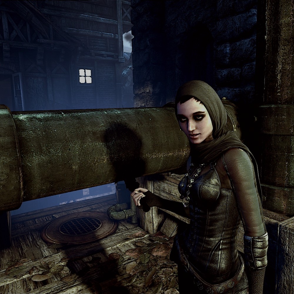 Thief