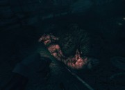 Amnesia: A Machine for Pigs