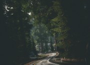 Need for Speed: Rivals