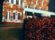 Wolfenstein: The New Order