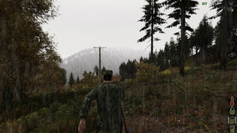 DayZ