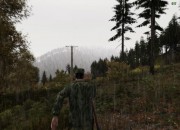 DayZ