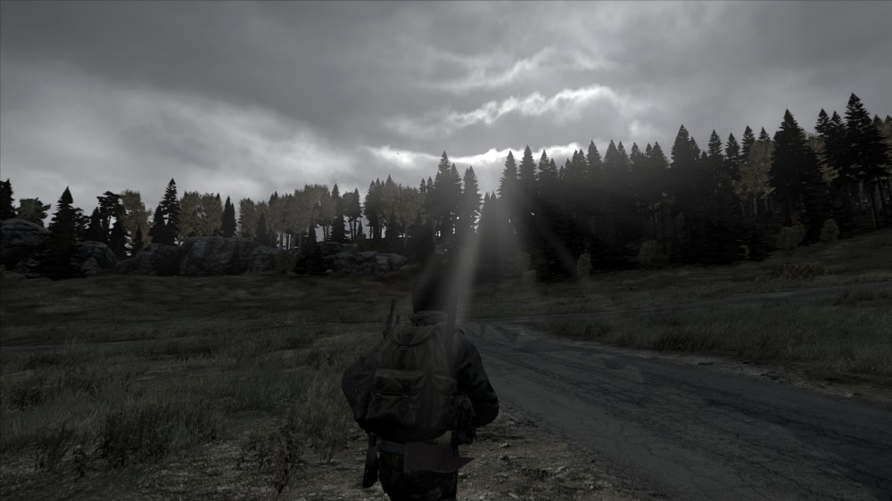 DayZ