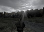 DayZ screenshot