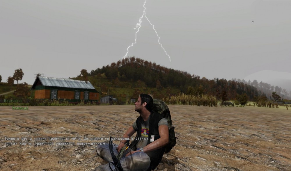 DayZ