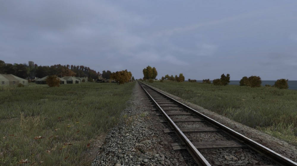 DayZ