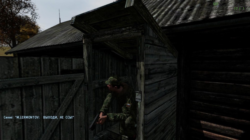 DayZ