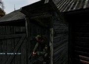 DayZ