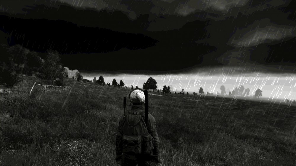 DayZ