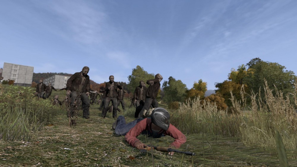 DayZ