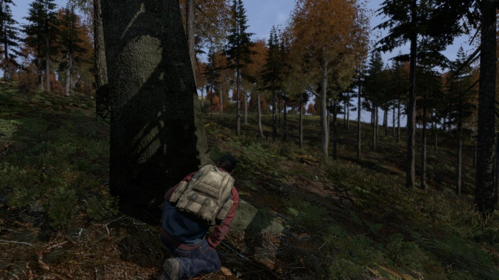 DayZ