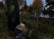 DayZ