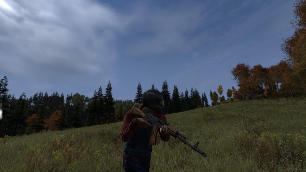 DayZ