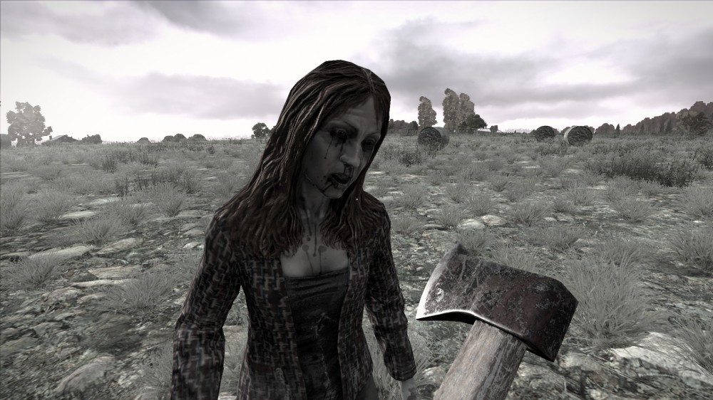 DayZ
