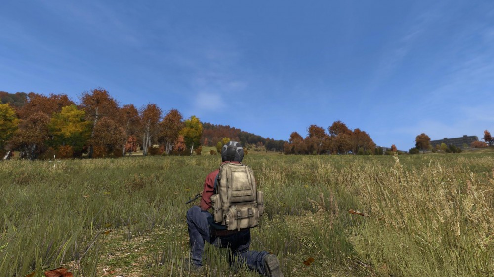 DayZ