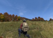 DayZ