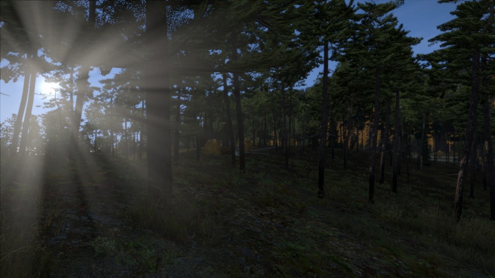 DayZ