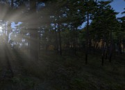 DayZ screenshot