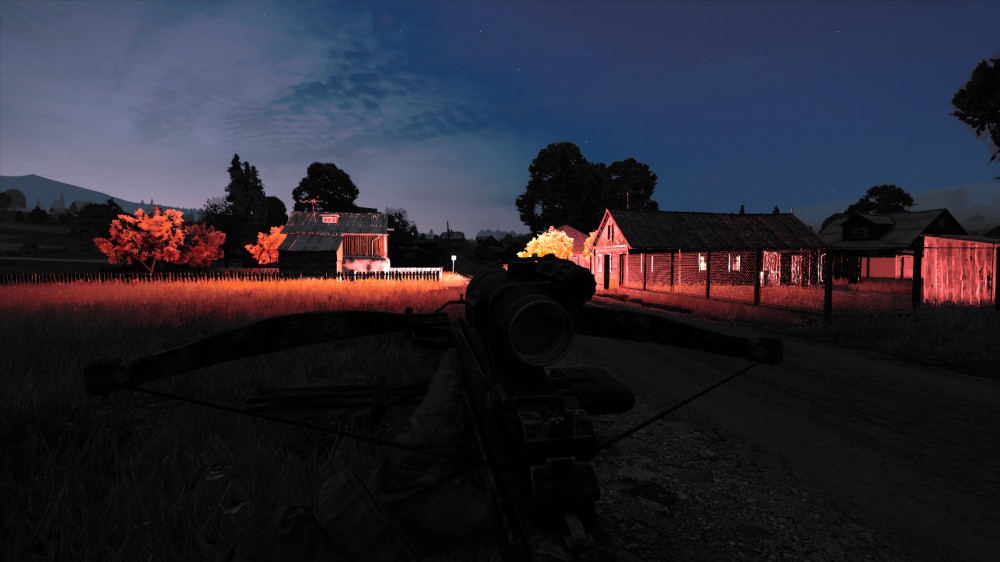 DayZ