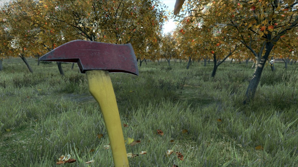 DayZ