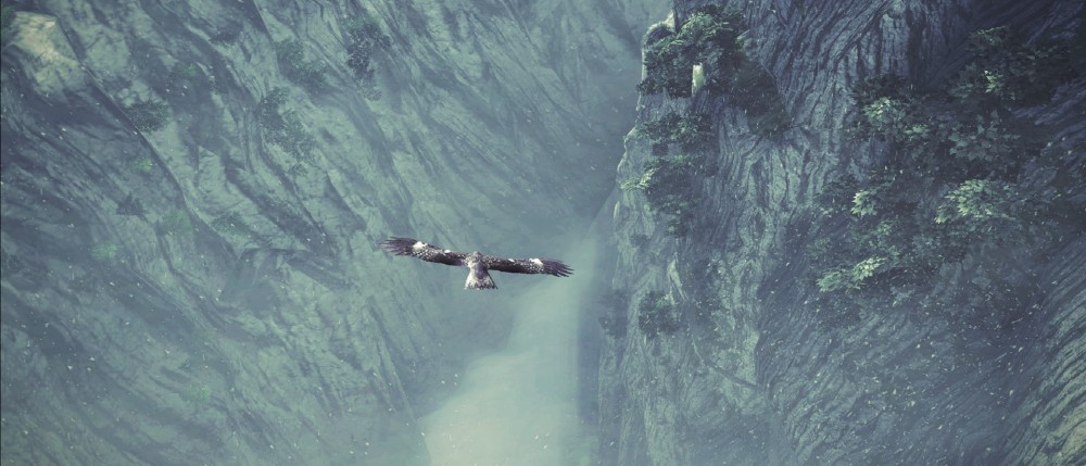 Shadow of the Colossus