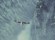 Shadow of the Colossus screenshot
