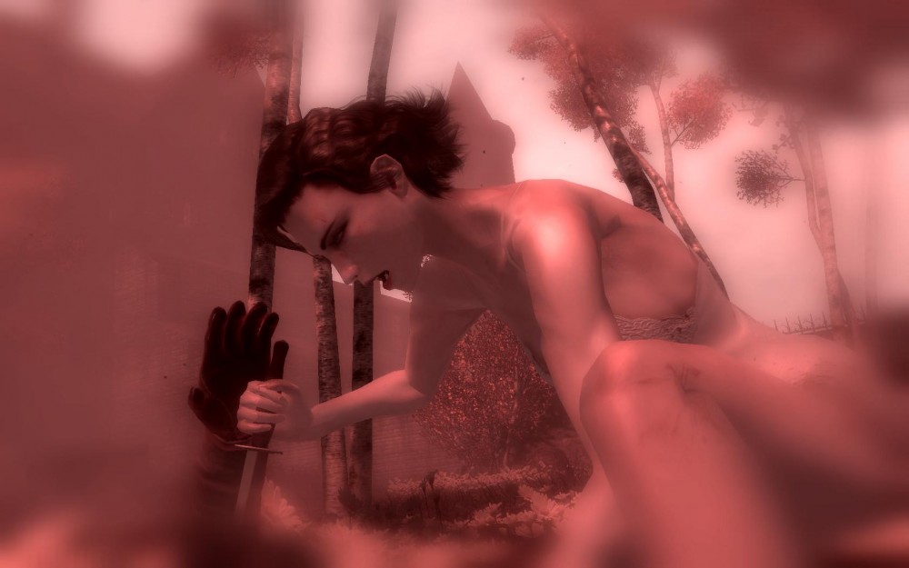 Velvet Assassin