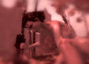 Velvet Assassin