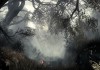 Call of Duty: Ghosts