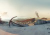 Mad Max