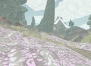 Shelter