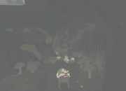 Shelter