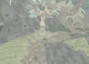 Shelter