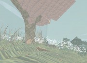 Shelter
