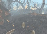 Shelter