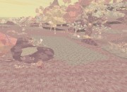 Shelter