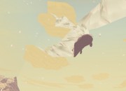 Shelter
