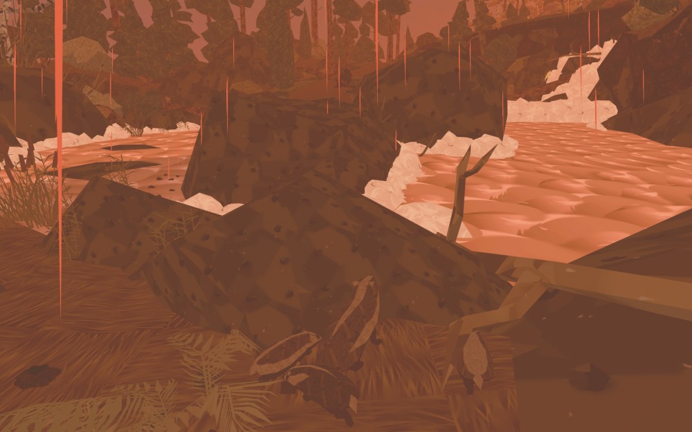 Shelter