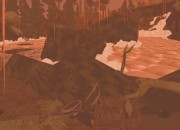Shelter