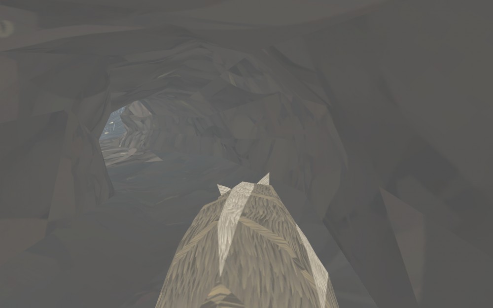 Shelter