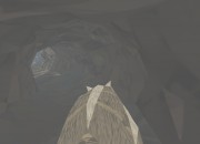 Shelter