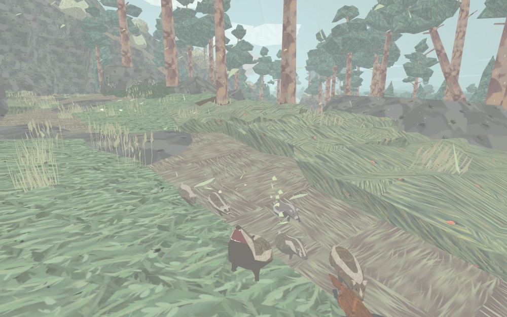 Shelter