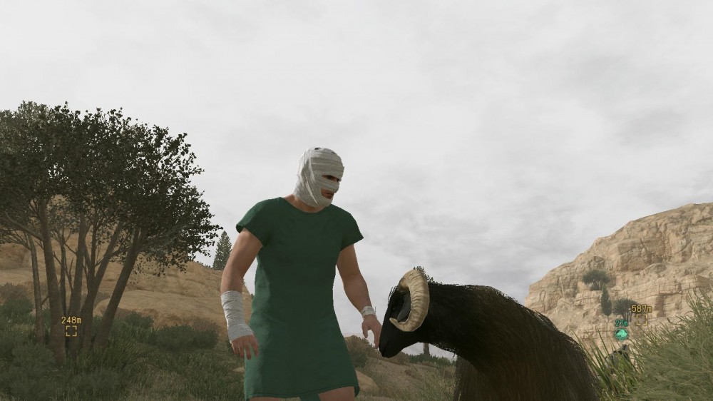 Metal Gear Solid V: The Phantom Pain
