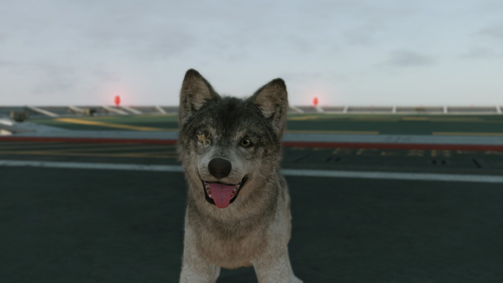 Metal Gear Solid V: The Phantom Pain